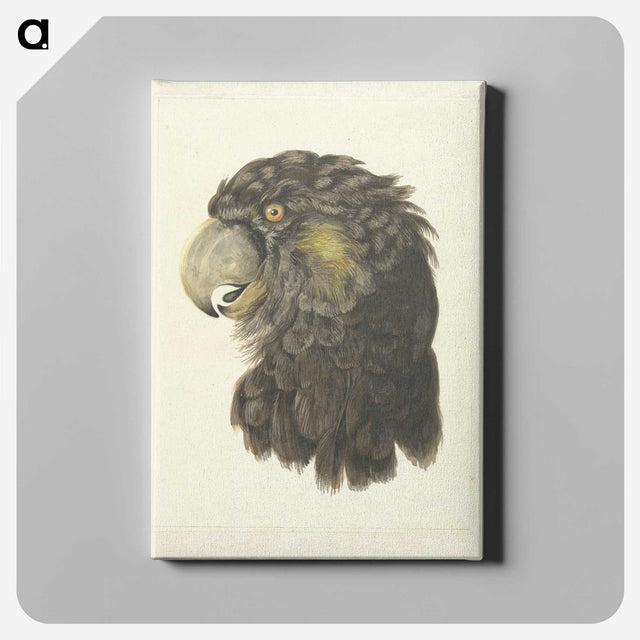 1-56_Aert-Schouman_canvas
