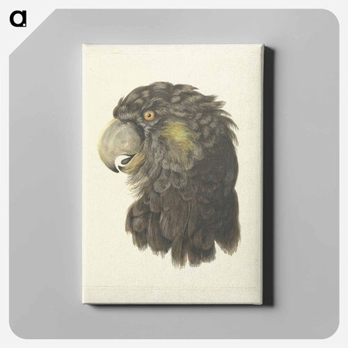 Head of a Cockatoo - アールト シューマン Canvas.