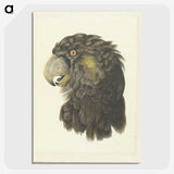 1-56_Aert-Schouman_picture-crop