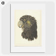 1-56_Aert-Schouman_picture