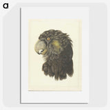 1-56_Aert-Schouman_picture