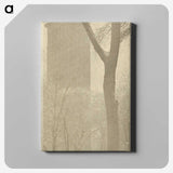 1-56_Alfred-Stieglitz_canvas