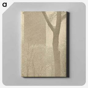 1-56_Alfred-Stieglitz_canvas