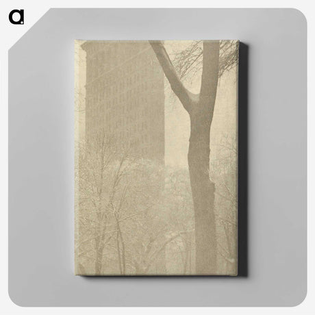 1-56_Alfred-Stieglitz_canvas
