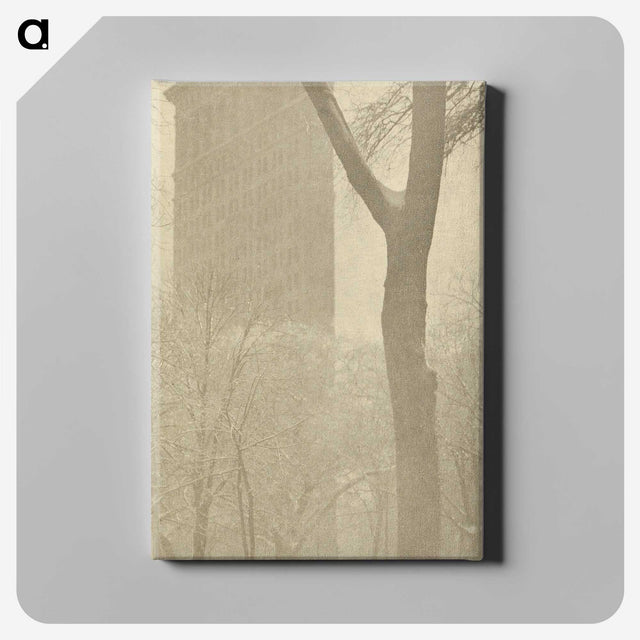 1-56_Alfred-Stieglitz_canvas