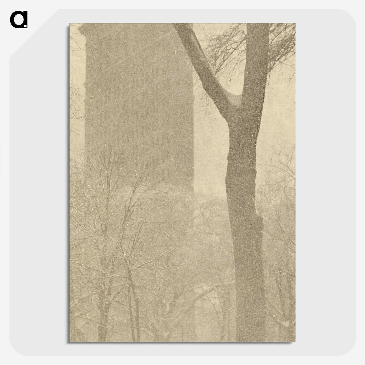 1-56_Alfred-Stieglitz_picture-crop