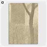 1-56_Alfred-Stieglitz_picture-crop