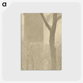 1-56_Alfred-Stieglitz_postcard