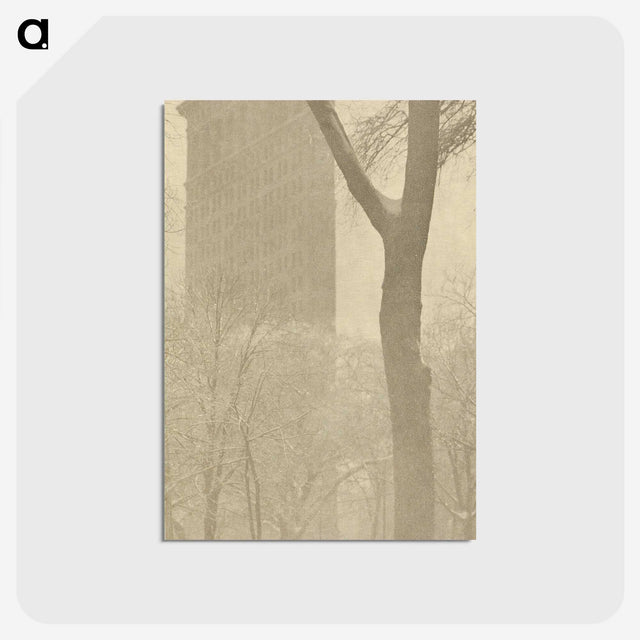 1-56_Alfred-Stieglitz_postcard
