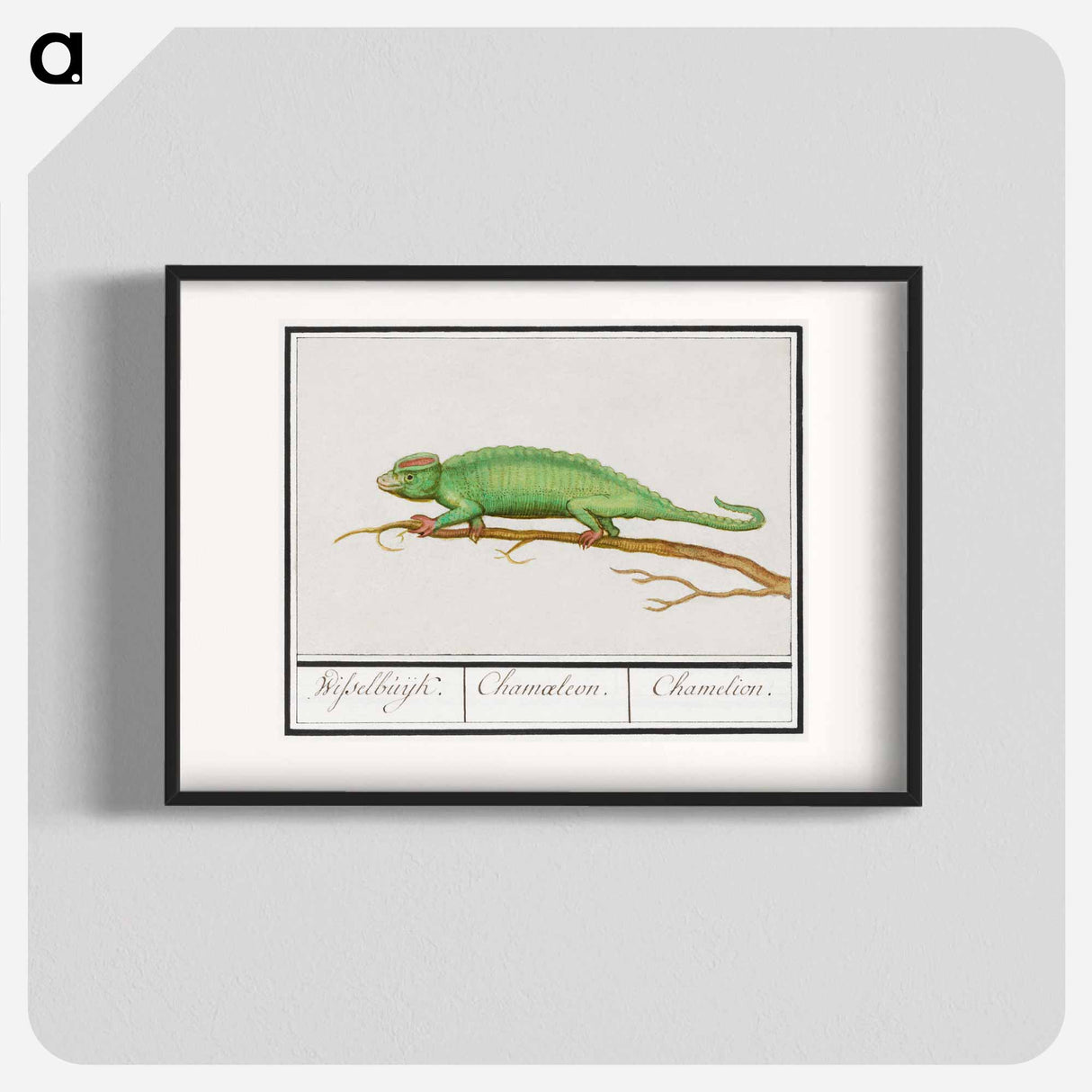 Chameleon - アンセルムス ボエティウス デ ブート Poster.