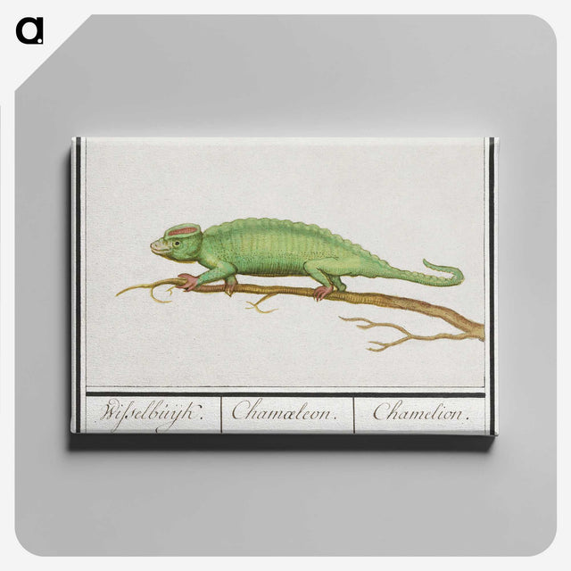 1-56_Anselmus-Boetius-de-Boodt_canvas
