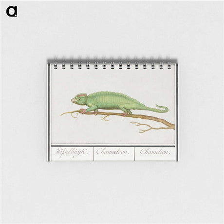 1-56_Anselmus-Boetius-de-Boodt_memo