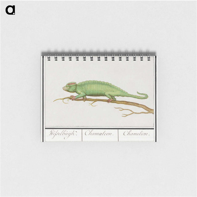1-56_Anselmus-Boetius-de-Boodt_memo
