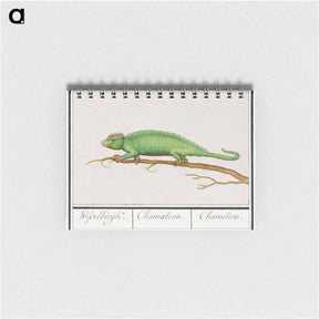 アートメモ帳-Chameleon - アンセルムス ボエティウス デ ブート Memo.