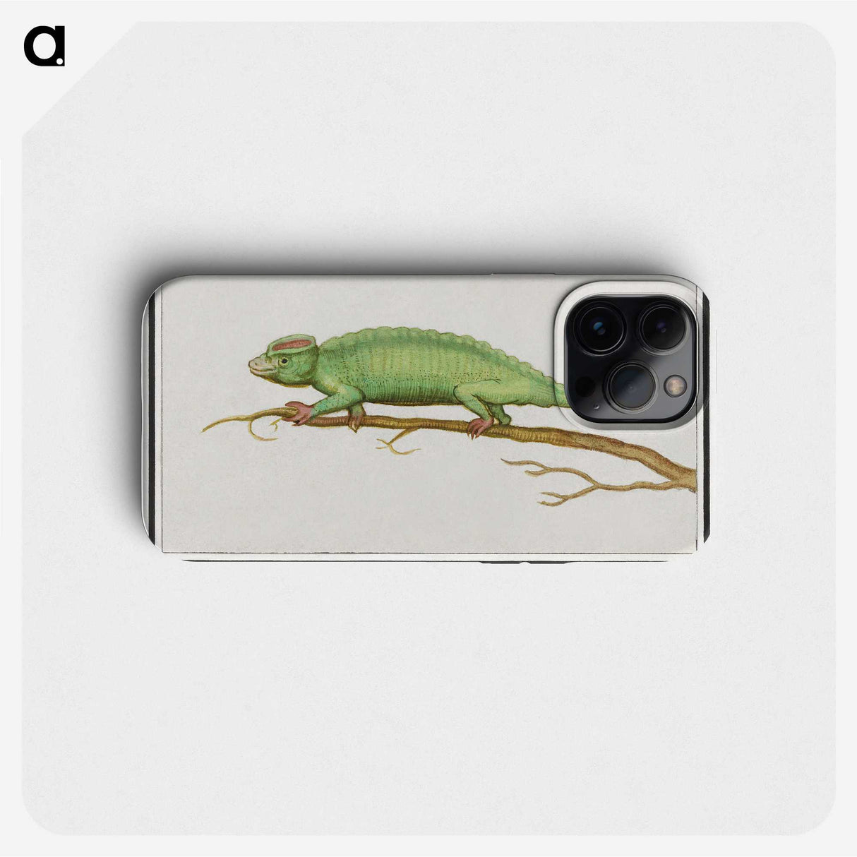 1-56_Anselmus-Boetius-de-Boodt_phone