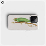 Chameleon - アンセルムス ボエティウス デ ブート Phone Case.