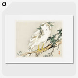 1-56_Bairei-Gakan_picture