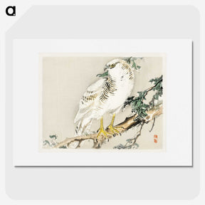 1-56_Bairei-Gakan_picture