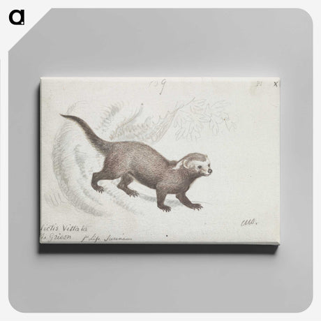 1-56_Charles-Hamilton-Smith_canvas