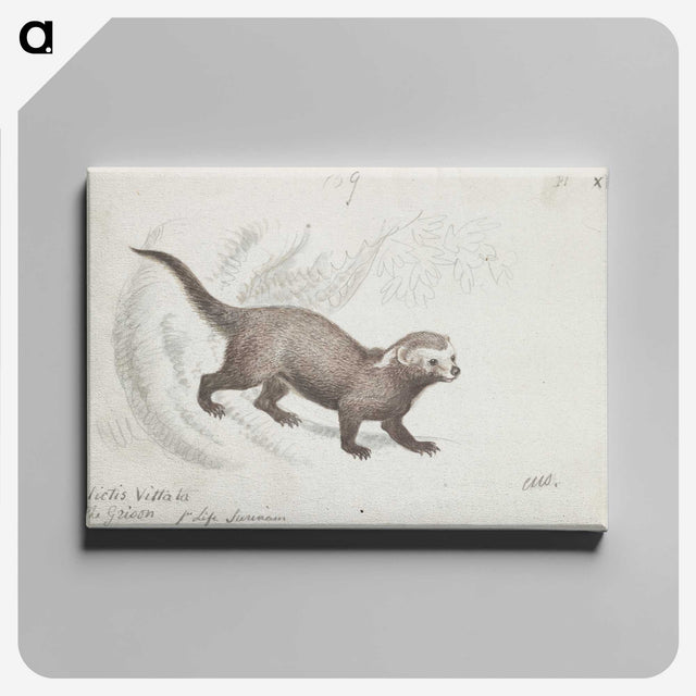 1-56_Charles-Hamilton-Smith_canvas