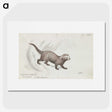 1-56_Charles-Hamilton-Smith_picture