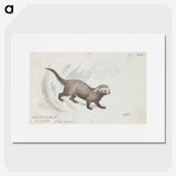 1-56_Charles-Hamilton-Smith_picture