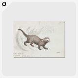 1-56_Charles-Hamilton-Smith_postcard