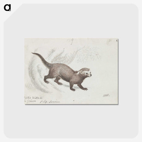 1-56_Charles-Hamilton-Smith_postcard