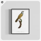 1-56_Des-Oiseaux-de-Paradis_blk-crop