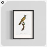 1-56_Des-Oiseaux-de-Paradis_blk
