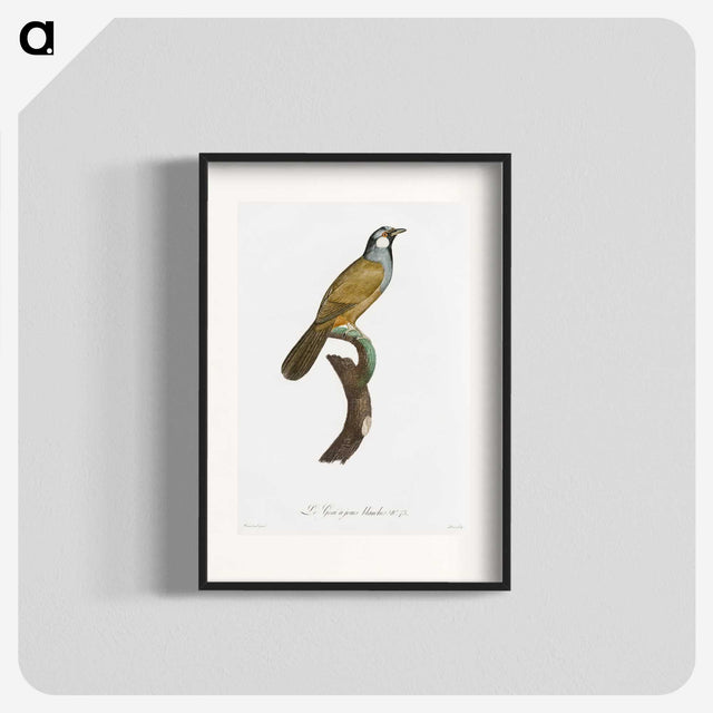 1-56_Des-Oiseaux-de-Paradis_blk