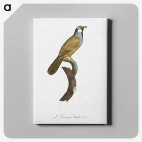 1-56_Des-Oiseaux-de-Paradis_canvas