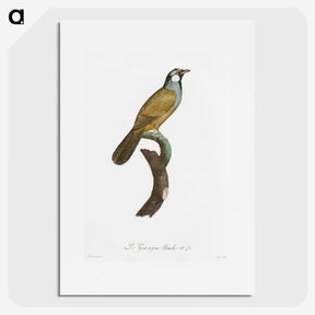 1-56_Des-Oiseaux-de-Paradis_picture