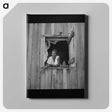 1-56_Dorothea-Lange_canvas