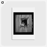 1-56_Dorothea-Lange_hagaki