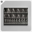 1-56_Eadweard-Muybridge_canvas