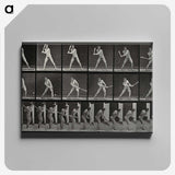 1-56_Eadweard-Muybridge_canvas