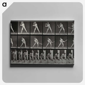 1-56_Eadweard-Muybridge_canvas