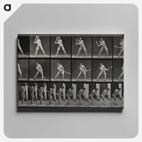 1-56_Eadweard-Muybridge_canvas