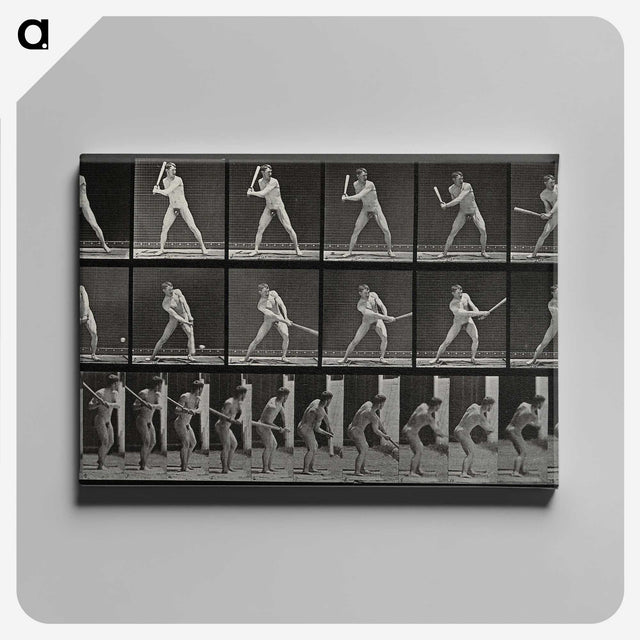 1-56_Eadweard-Muybridge_canvas