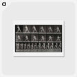 アートポストカード-Batter Up
 - エドワード マイブリッジ Postcard.