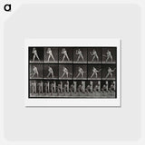 アートポストカード-Batter Up
 - エドワード マイブリッジ Postcard.