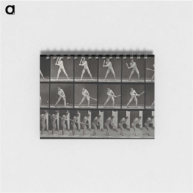 1-56_Eadweard-Muybridge_memo