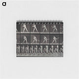 アートメモ帳-Batter Up
 - エドワード マイブリッジ Memo.