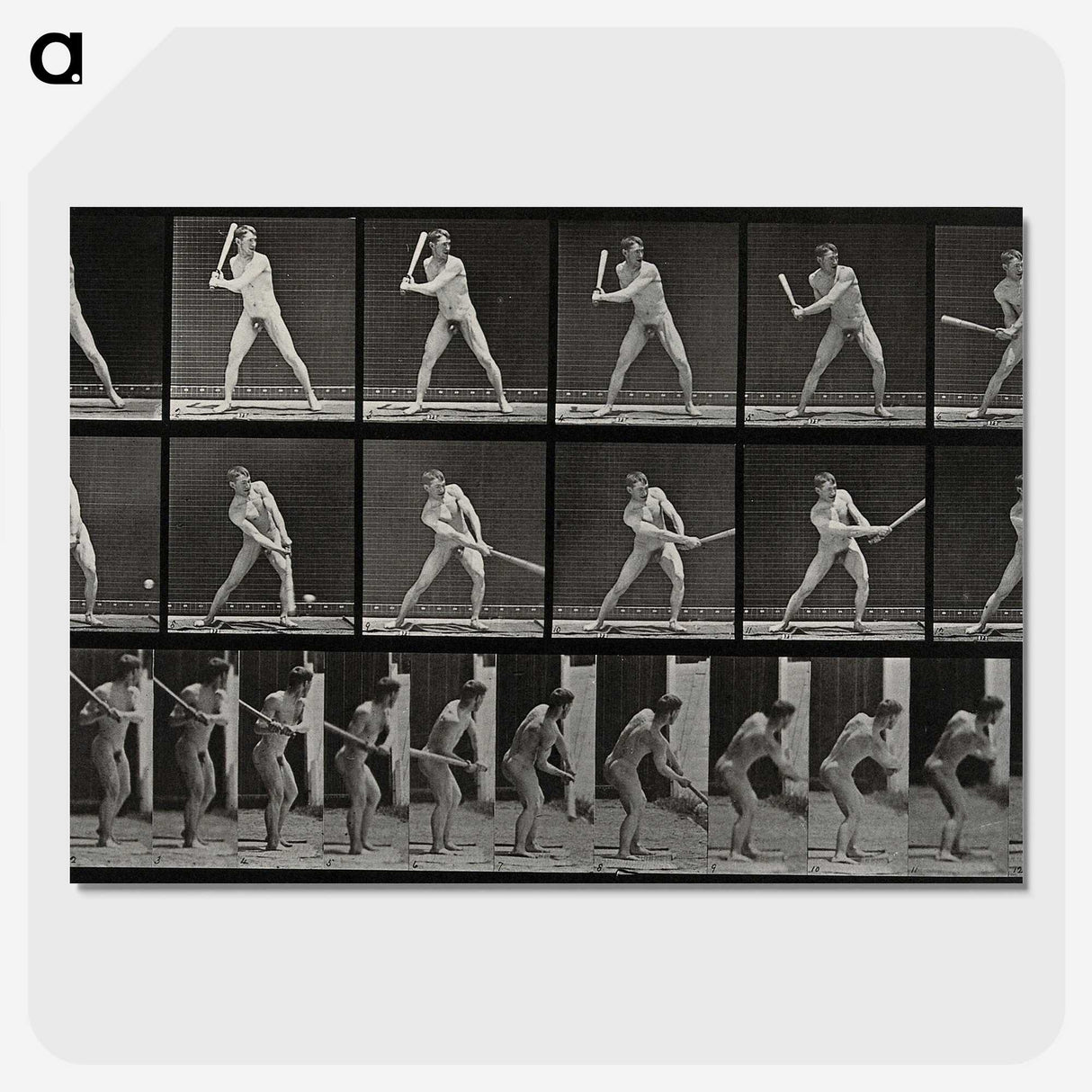 1-56_Eadweard-Muybridge_picture-crop