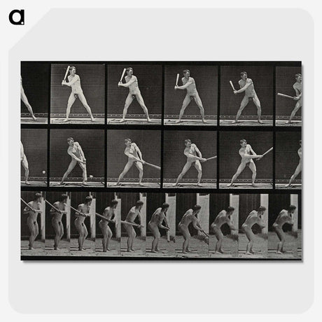 1-56_Eadweard-Muybridge_picture-crop