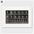 1-56_Eadweard-Muybridge_picture