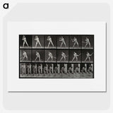 1-56_Eadweard-Muybridge_picture