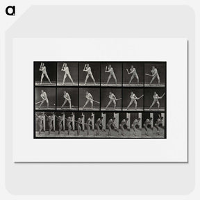 1-56_Eadweard-Muybridge_picture