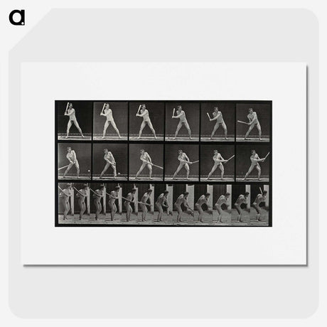 1-56_Eadweard-Muybridge_picture
